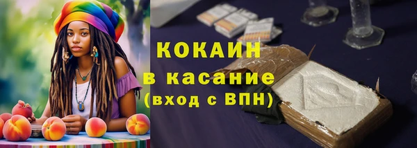 винт Елабуга