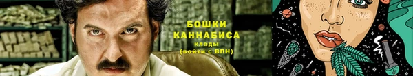 гидропоника Дмитриев