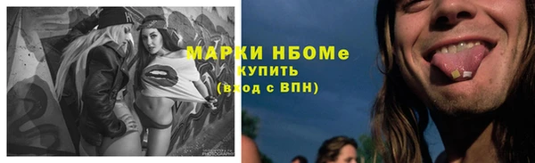 гидропоника Дмитриев