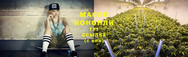 гидропоника Дмитриев