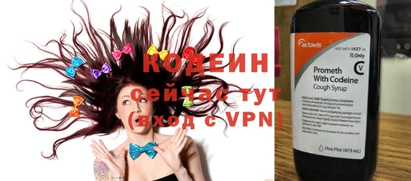 твердый Дмитров